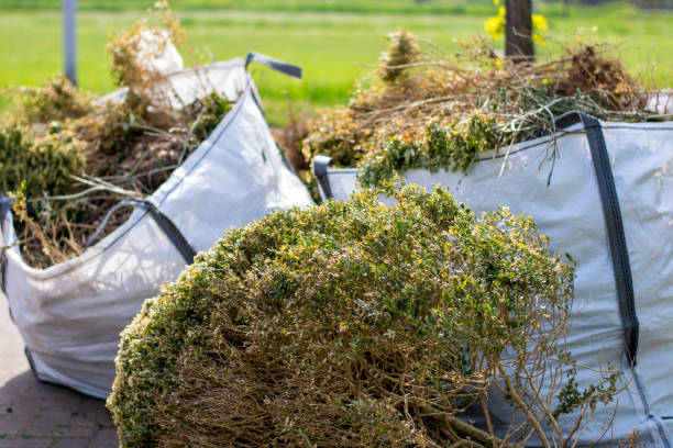 Best Professional Junk Removal  in North Tonawanda, NY